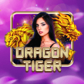 Dragon Tiger Filibet live casino